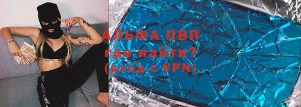 стаф Алексин