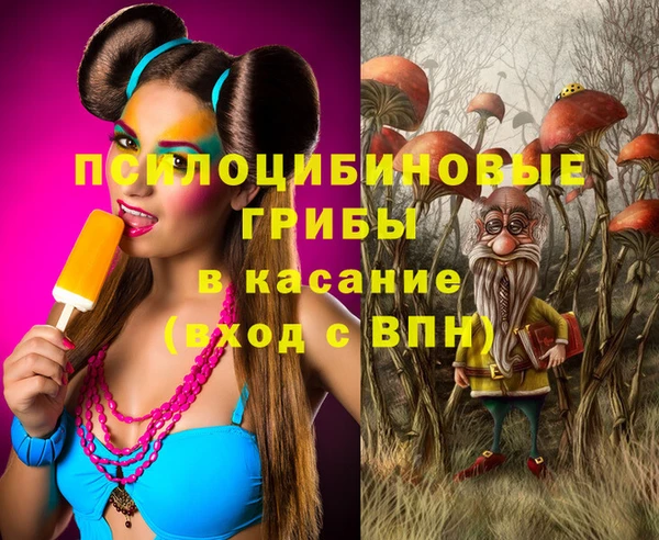 бошки Абдулино