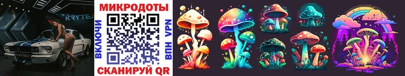 Псилоцибиновые грибы Psilocybe купить наркотики сайты Миллерово