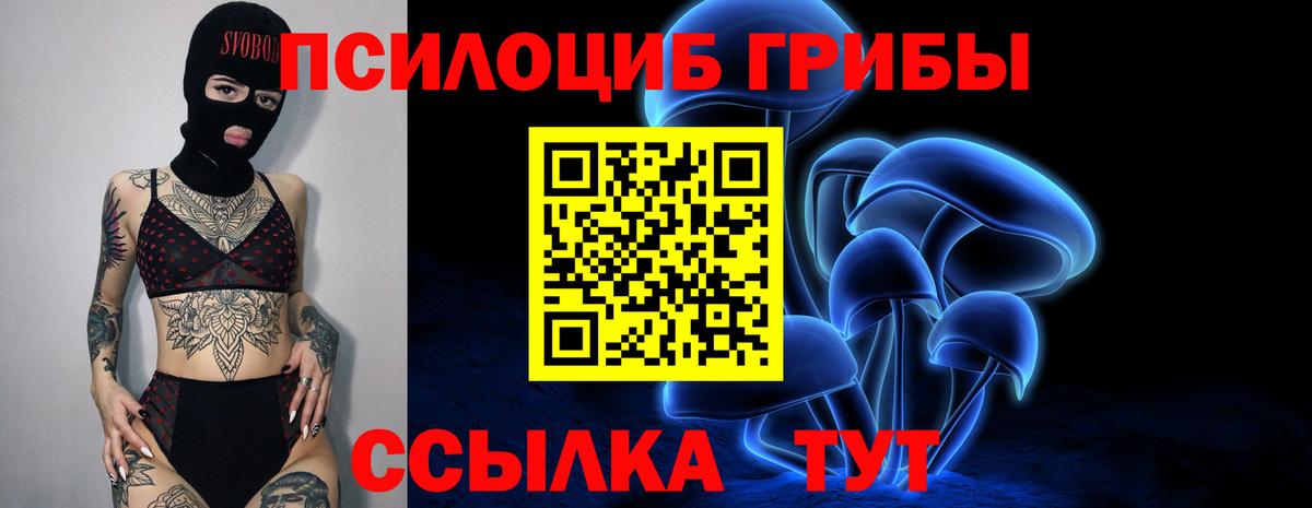 Галлюциногенные грибы Psilocybine cubensis Миллерово